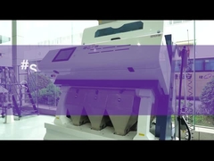 ARROZ DO VERDE DE SF